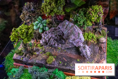 Star Wars : Fans of the Galaxy, l'expo à découvrir dans une galaxie lointaine, très lointaine - DSC 0903