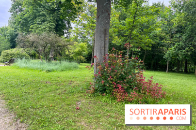 Les îles du lac inférieur, au bois de Boulogne - nos photos - image00035