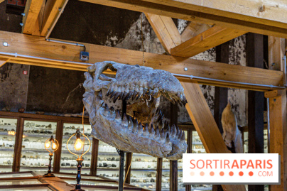 Un dinosaure géant au Château de Dampierre - Jurassique au Château de Dampierre