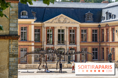 Un dinosaure géant au Château de Dampierre - Jurassique au Château de Dampierre -  A7C8924