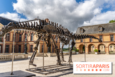 Un dinosaure géant au Château de Dampierre - Jurassique au Château de Dampierre -  A7C8894