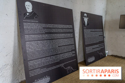 Un dinosaure géant au Château de Dampierre - Jurassique au Château de Dampierre -  A7C8904