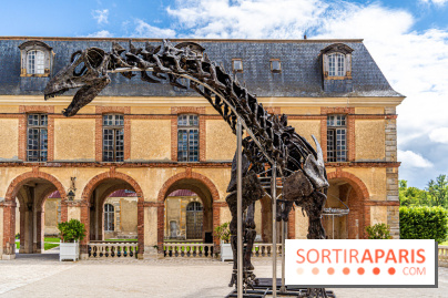 Un dinosaure géant au Château de Dampierre - Jurassique au Château de Dampierre -  A7C8901