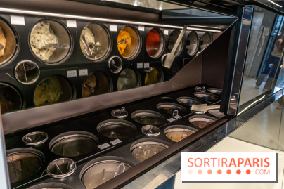 Angiolo, le glacier de Saint-Germain-des-Près - les photos -  bacs de glaces