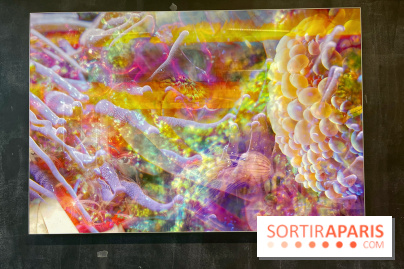 Le monde est à tous.tes - IMG 2543