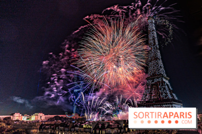 Feu d'artifice du 14 juillet de Paris 2024, les photos 