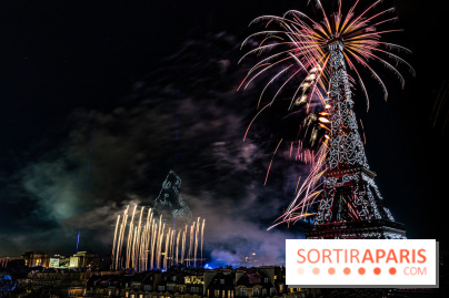 Feu d'artifice du 14 juillet de Paris 2024, les photos 