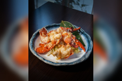 Campagne #33610 - 358013453 688444726628746 904374060728429672 n