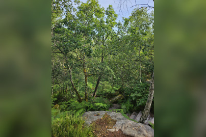 Le Pays de Fontainebleau, en famille ou entre amis