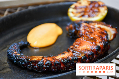 Comestibles comptoir gourmand et terrasse confidentielle par Paul Pairet à l'Hôtel de Crillon - DSC 1734