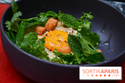 Comestibles comptoir gourmand et terrasse confidentielle par Paul Pairet à l'Hôtel de Crillon - DSC 1759