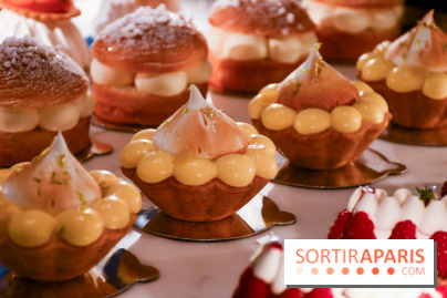 Comestibles comptoir gourmand et terrasse confidentielle par Paul Pairet à l'Hôtel de Crillon - DSC 1769