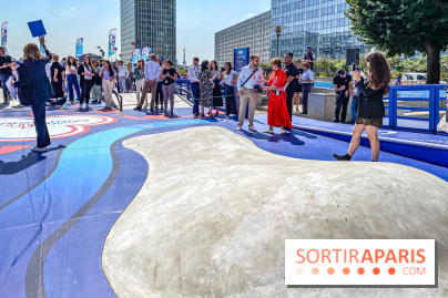 Saint-Gobain Skate Game - IMG 8965