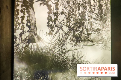 Decoding Korea : l'art numérique et contemporain coréen se dévoile au Grand Palais Immersif - IMG20240725151450