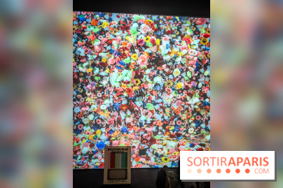 Decoding Korea : l'art numérique et contemporain coréen se dévoile au Grand Palais Immersif - IMG20240725153042