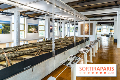 L’Ancienne Poste du Louvre à Versailles -  A7C9710