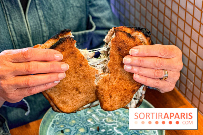 Vafamoc - image00035