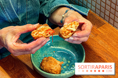 Vafamoc - image00042