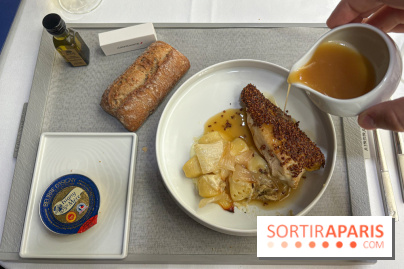 Restaurant Air France  - le plat