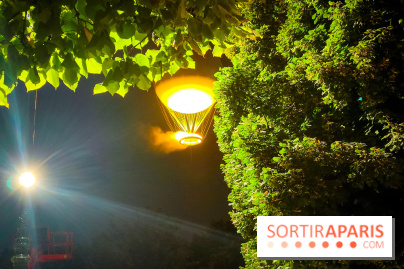 Vasque olympique JO de Paris 2024 - IMG20240727234300