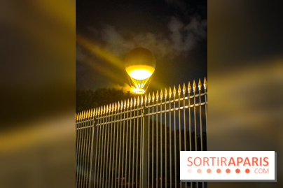 Vasque olympique JO de Paris 2024 - IMG20240727234623