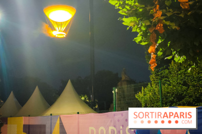 Vasque olympique JO de Paris 2024 - IMG20240727234513