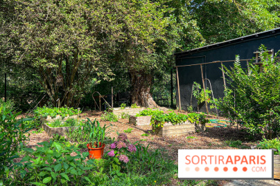 Camping Paris Maisons-Laffite - image00035