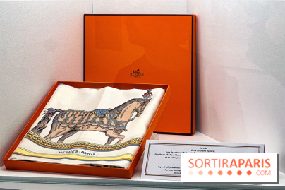 Maison Élysée : : le premier musée de l'Élysée, hébergeant un café et une boutique - image00051