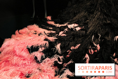 JO paris 2024 : Les tenues de scène de Lady Gaga, Aya Nakamura et Céline Dion exposées à la Galerie Dior  - image00004