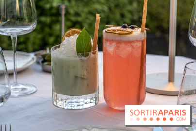 La terrasse dans un jardin avec vue Tour Eiffel du Marguerite 1606 au Domaine de la Reine Margot -  A7C1341