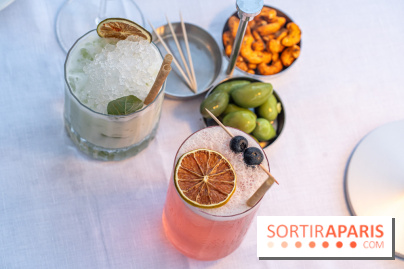 La terrasse dans un jardin avec vue Tour Eiffel du Marguerite 1606 au Domaine de la Reine Margot -  A7C1343