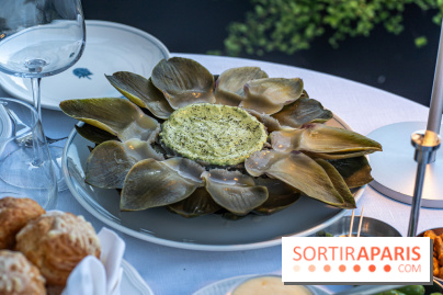 La terrasse dans un jardin avec vue Tour Eiffel du Marguerite 1606 au Domaine de la Reine Margot -  A7C1345