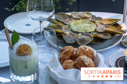 La terrasse dans un jardin avec vue Tour Eiffel du Marguerite 1606 au Domaine de la Reine Margot -  A7C1349