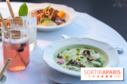 La terrasse dans un jardin avec vue Tour Eiffel du Marguerite 1606 au Domaine de la Reine Margot -  A7C1361