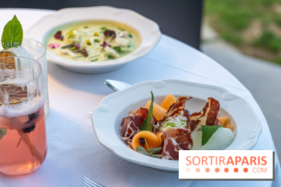 La terrasse dans un jardin avec vue Tour Eiffel du Marguerite 1606 au Domaine de la Reine Margot -  A7C1364