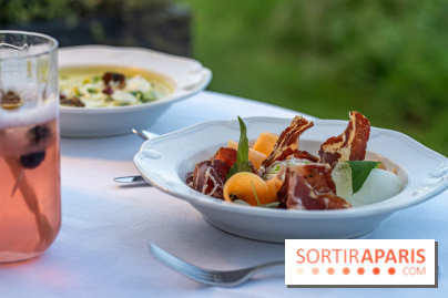 La terrasse dans un jardin avec vue Tour Eiffel du Marguerite 1606 au Domaine de la Reine Margot -  A7C1365