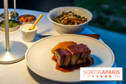 La terrasse dans un jardin avec vue Tour Eiffel du Marguerite 1606 au Domaine de la Reine Margot -  A7C1366