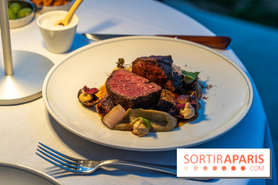 La terrasse dans un jardin avec vue Tour Eiffel du Marguerite 1606 au Domaine de la Reine Margot -  A7C1368
