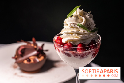 La terrasse dans un jardin avec vue Tour Eiffel du Marguerite 1606 au Domaine de la Reine Margot -  A7C1378