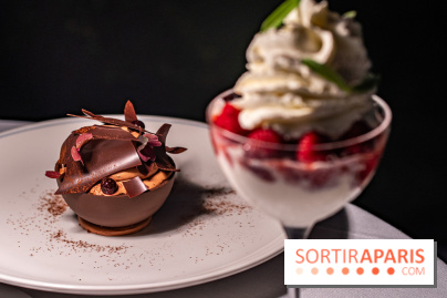 La terrasse dans un jardin avec vue Tour Eiffel du Marguerite 1606 au Domaine de la Reine Margot -  A7C1379