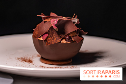 La terrasse dans un jardin avec vue Tour Eiffel du Marguerite 1606 au Domaine de la Reine Margot -  A7C1381