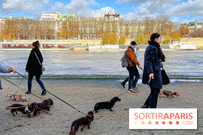 Paris Sausage Walk 2024 : la marche des teckels de retour dans la capitale - image00023