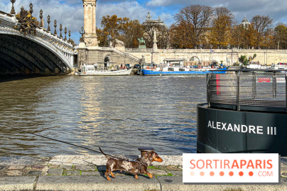 Paris Sausage Walk 2024 : la marche des teckels de retour dans la capitale - image00001