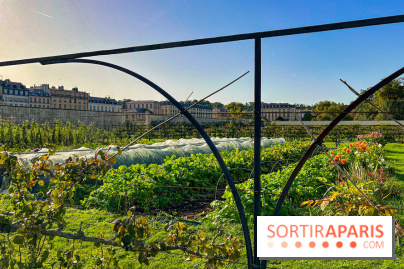 Les Saveurs du Potager du Roi à Versailles : marché de fruits & légumes, expositions et animations - image00012