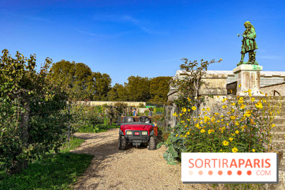 Les Saveurs du Potager du Roi à Versailles : marché de fruits & légumes, expositions et animations - image00020