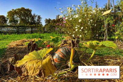 Les Saveurs du Potager du Roi à Versailles : marché de fruits & légumes, expositions et animations