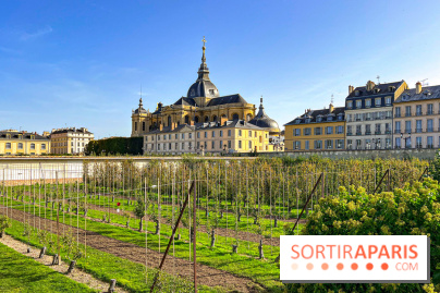 Les Saveurs du Potager du Roi à Versailles : marché de fruits & légumes, expositions et animations