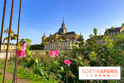 Les Saveurs du Potager du Roi à Versailles : marché de fruits & légumes, expositions et animations