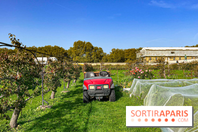 Les Saveurs du Potager du Roi à Versailles : marché de fruits & légumes, expositions et animations