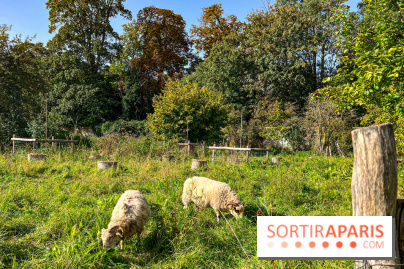 Les Saveurs du Potager du Roi à Versailles : marché de fruits & légumes, expositions et animations - image00079